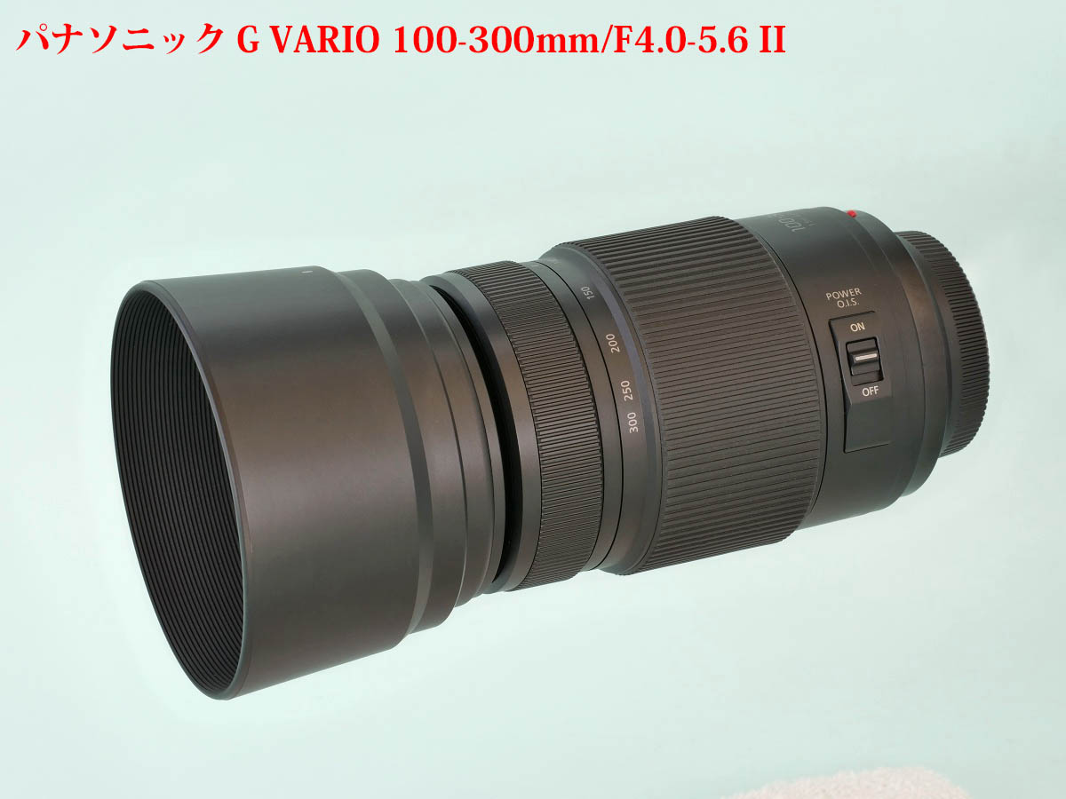 パナソニック 100-300mm/F4.0-5.6II